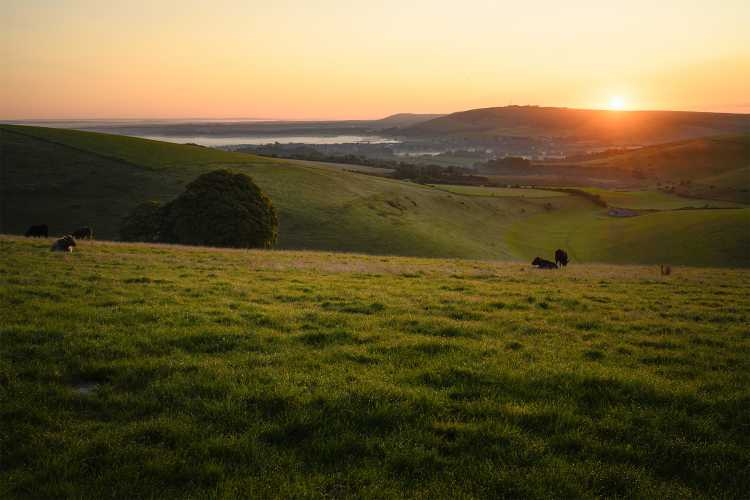 Sunrise, Steyning Bowl