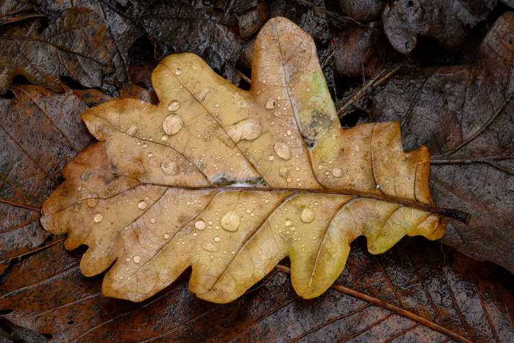 The pride was in my soul