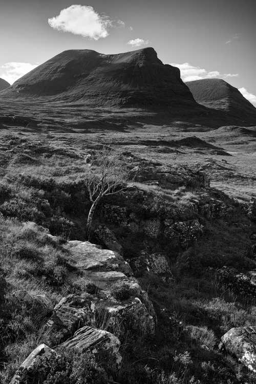 Quinag