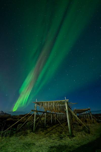 Cod drying racks and aurora